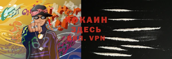 сатива Новокубанск