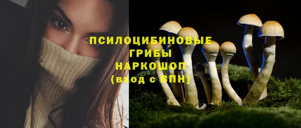 сатива Новокубанск