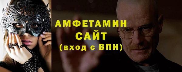сатива Новокубанск