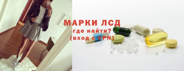 сатива Новокубанск