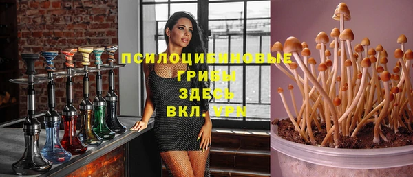 а пвп мука Новозыбков
