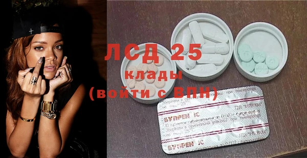 сатива Новокубанск