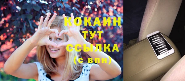 сатива Новокубанск