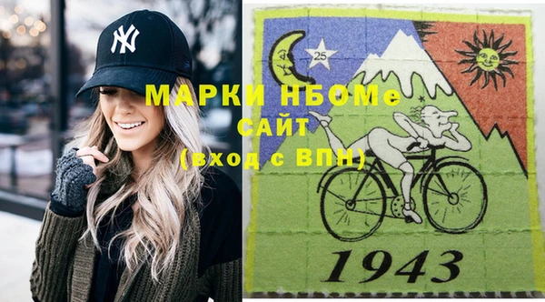 сатива Новокубанск