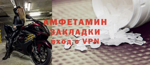сатива Новокубанск