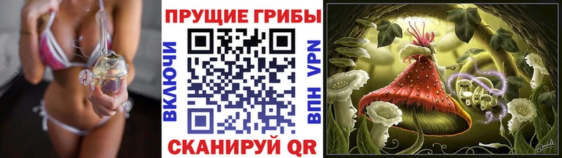 Псилоцибиновые грибы GOLDEN TEACHER  купить наркотик  omg как зайти  Боготол 